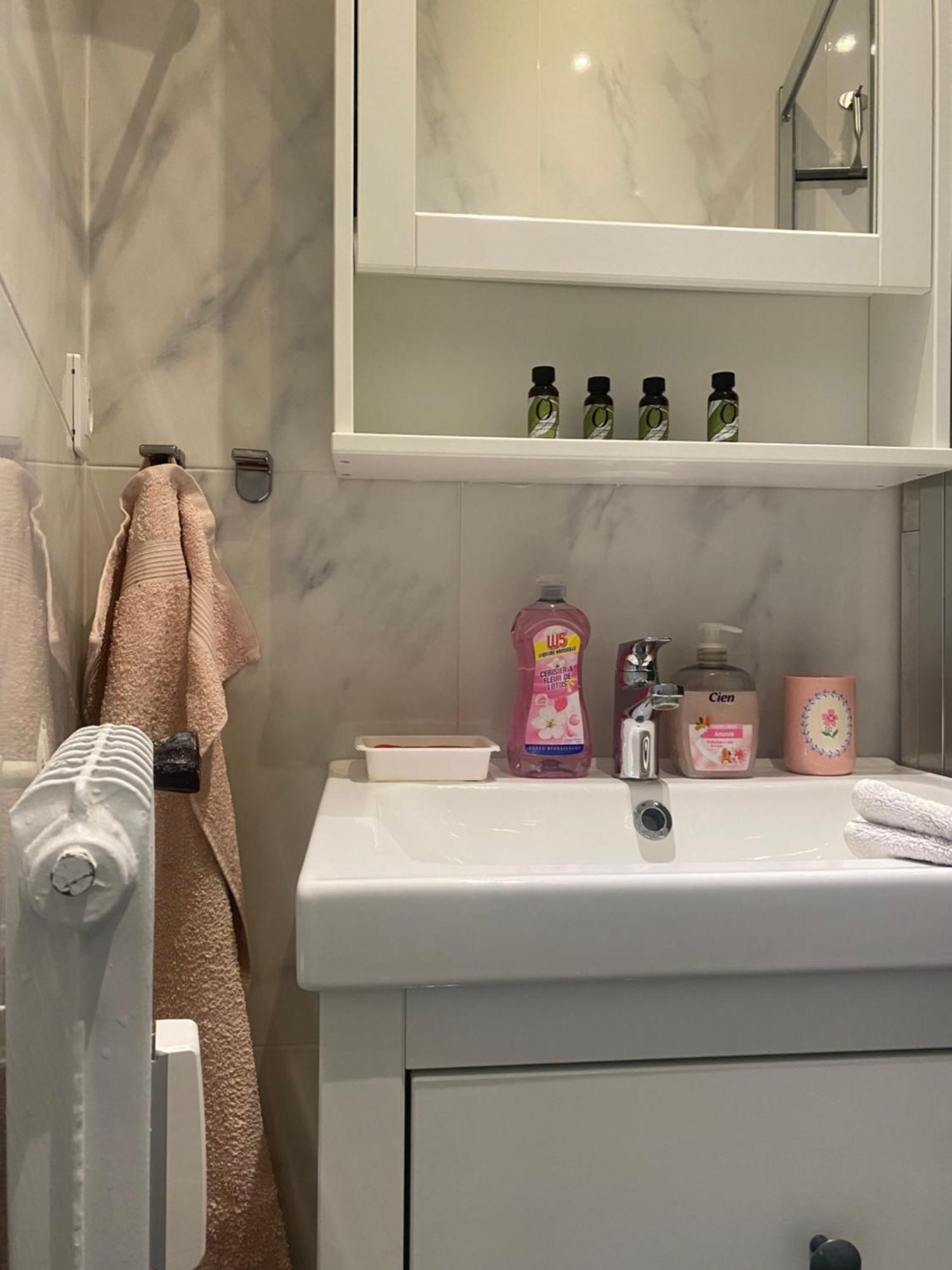 Mirela'S Private Room With Key, Ac, Lift & Balcony In The Center Of Nice On The Cote D'Azur Eksteriør billede